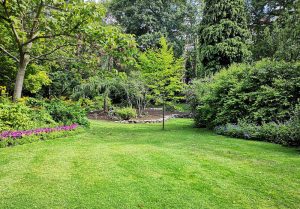 Optimiser l'expérience du jardin à Riencourt-les-Bapaume